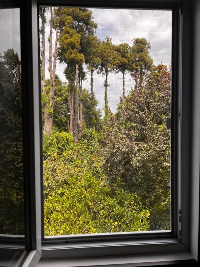 Guest House Nino マヒンジャウリ エクステリア 写真